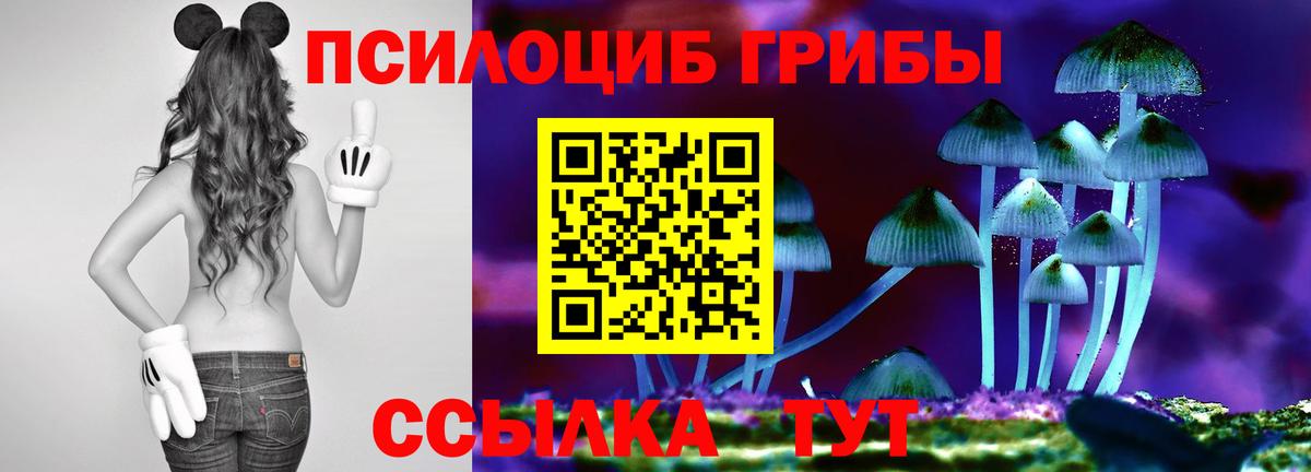 Галлюциногенные грибы прущие грибы  Вход с VPN  Хабаровск 