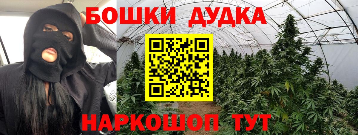Шишки марихуана ГИДРОПОН  Марихуана планчик  Хабаровск  Вход с VPN  МАРИХУАНА ГИДРОПОН 